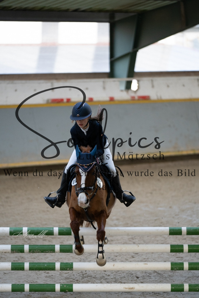 A7V01593 | Pferdefotograf