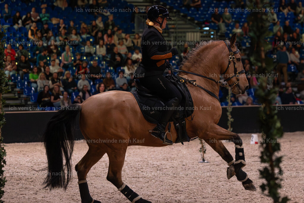 JoseraCup-128 | working equitationturnier fotograf videograf stoibphotography marixx film working equitation deutschland reitsport turnierfotografie eventfotografie equestrian events