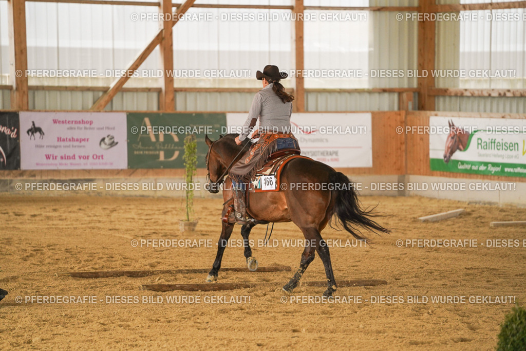 DSC04628 | Pferdegrafie