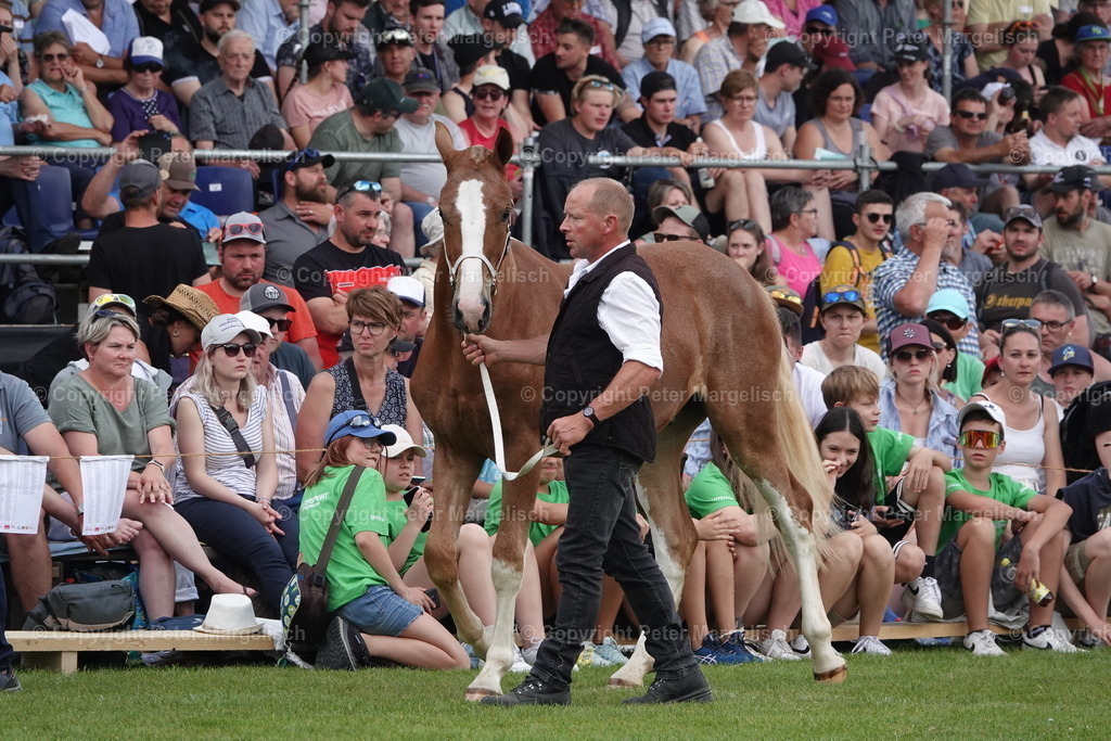 DSC04636 | Schwingen - Realisiert mit Pictrs.com