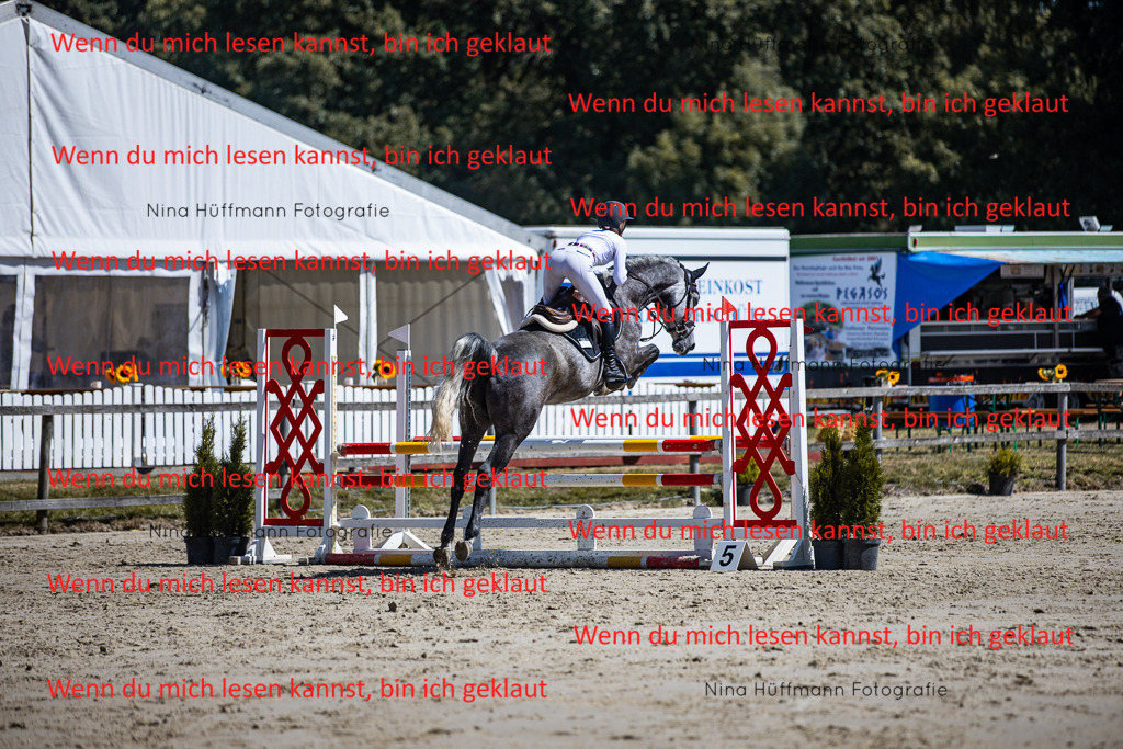 BK1A5263 | Turnierbilder Turnierfotos Nina Hüffmann Turnierfotografie Pferdefotografie Tierzeichnung Haustierzeichnung Pferdezeichnung Hundezeichnung Videograf  - Realisiert mit Pictrs.com