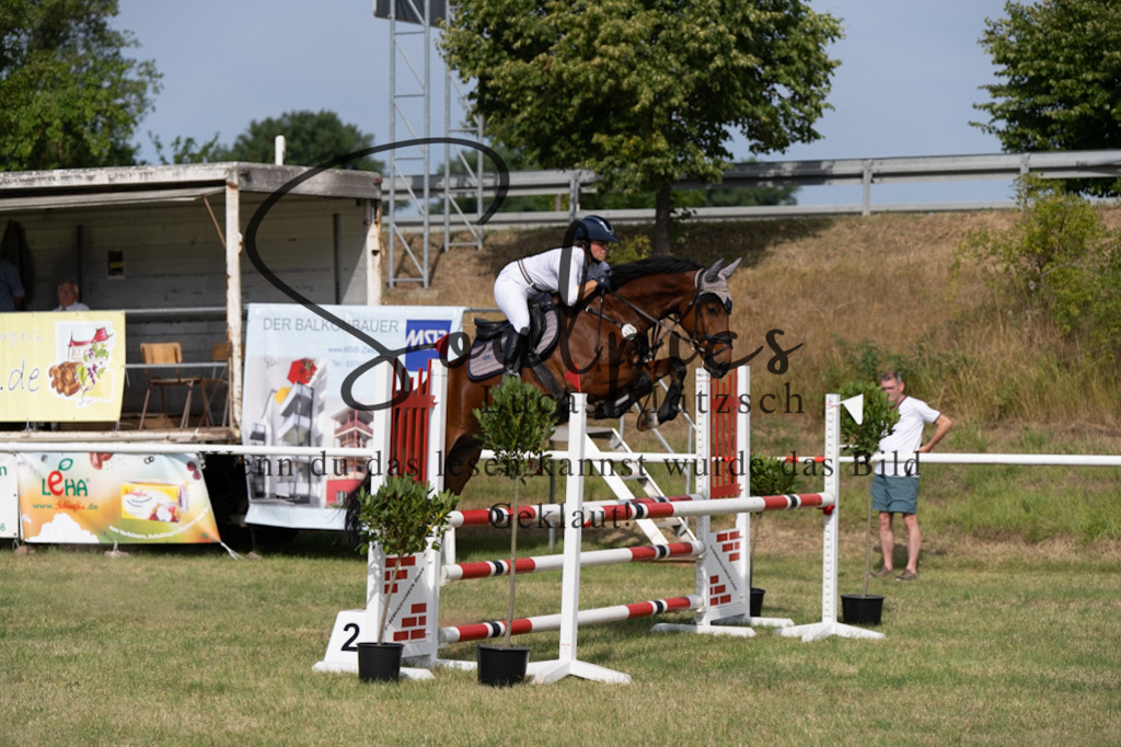 A7V01443 | Pferdefotograf