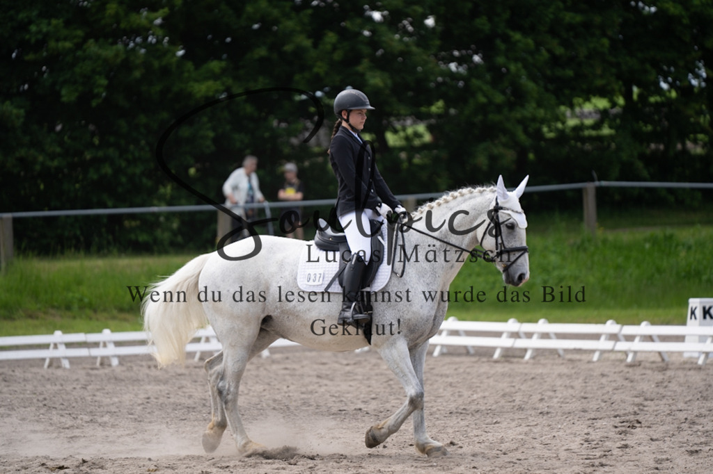 A7V02802 | Pferdefotograf