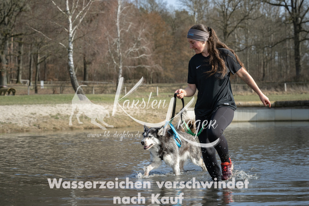 1330_ZZ96724 | kk-dogfotos