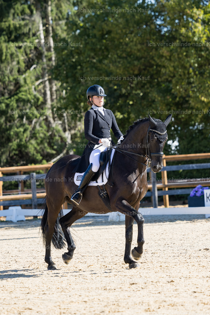 FHC2026_P07_9_17495 | working equitationturnier fotograf videograf stoibphotography marixx film working equitation deutschland reitsport turnierfotografie eventfotografie equestrian events