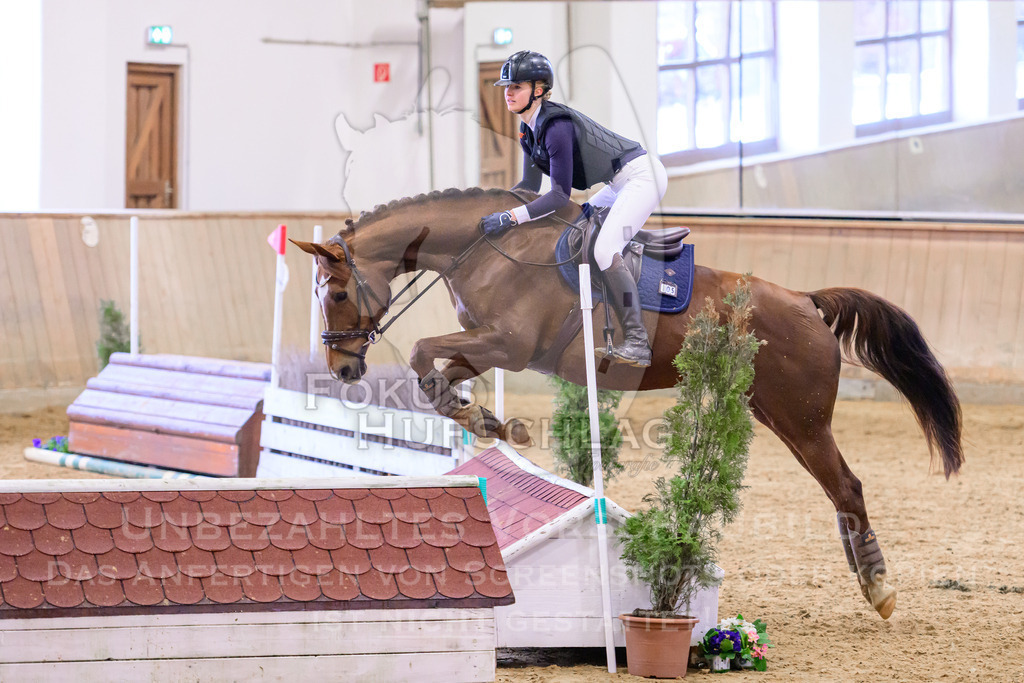 29032026-Schwaiganger-Prfg02-2-0151 | Fokus Hufschlag Fotografie - Realisiert mit Pictrs.com