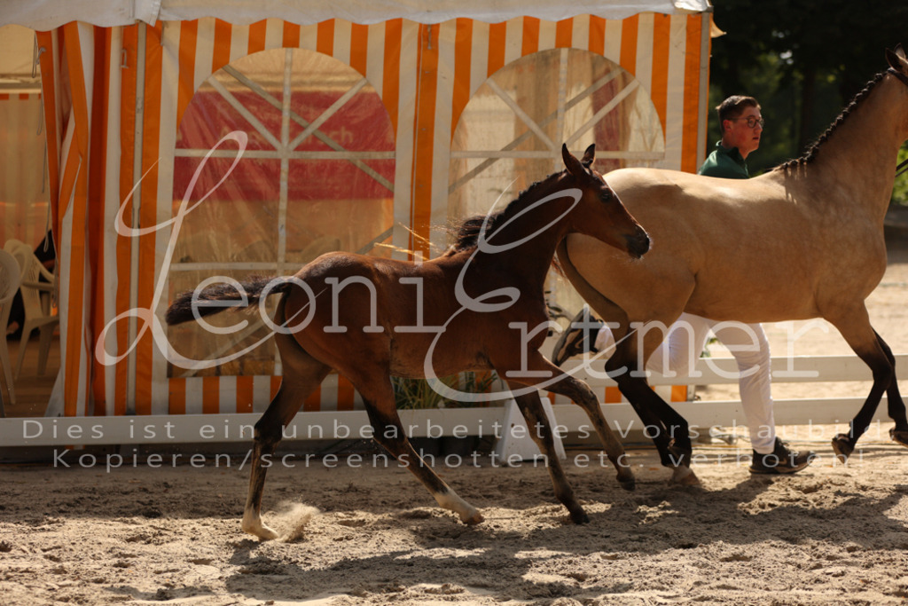 08.DoRPS00021 | Leoni Ertmer Photography - Realisiert mit Pictrs.com