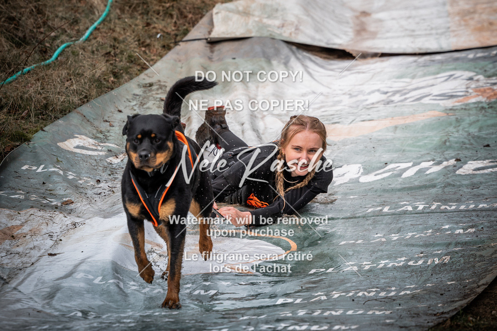 nelerasche_1330-1400_94 | nelerasche