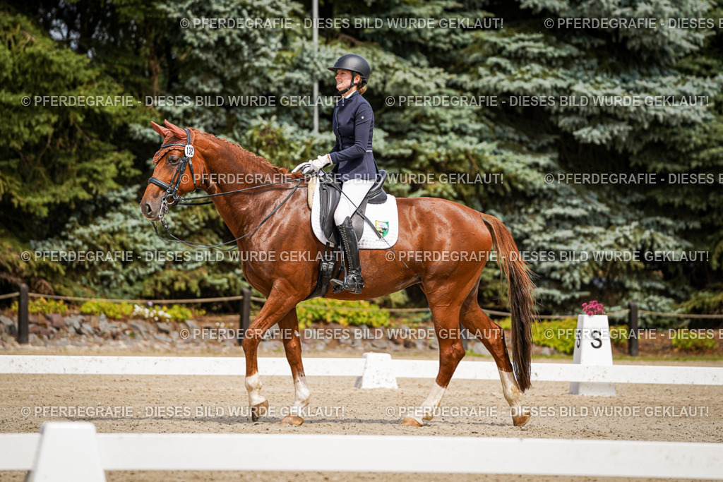 DSC04919 | Pferdegrafie