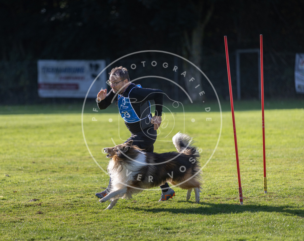 Pfotenfotografie.de_DV3A3267 | Hundefotografie, Tierfotograf, Pfotenfotografie, Fotoshooting Hund, Hunde Portrait, Hundesport, Hundeportraits, Heideshooting, Hunde, Sportfotograf, Hundefotograf, Turnierhundsport, THS, canicross - Realisiert mit Pictrs.com