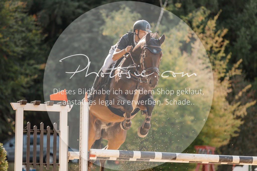 3I6A4992 | Stimmungsvolle Portraits und Reitsportfotografie im Ruhrgebiet und im Münsterland.

Pferdefotografie, Hundefotografie, Tierfotografie, Reportagen, Portraits von Tier und Mensch, Turnierfotografie in Bochum, Recklinghausen, Marl, Haltern am See, Dülmen.. - Realisiert mit Pictrs.com