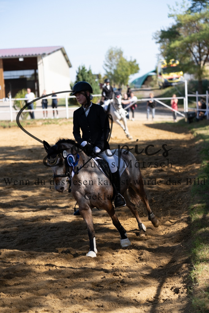 A7V02318 | Pferdefotograf