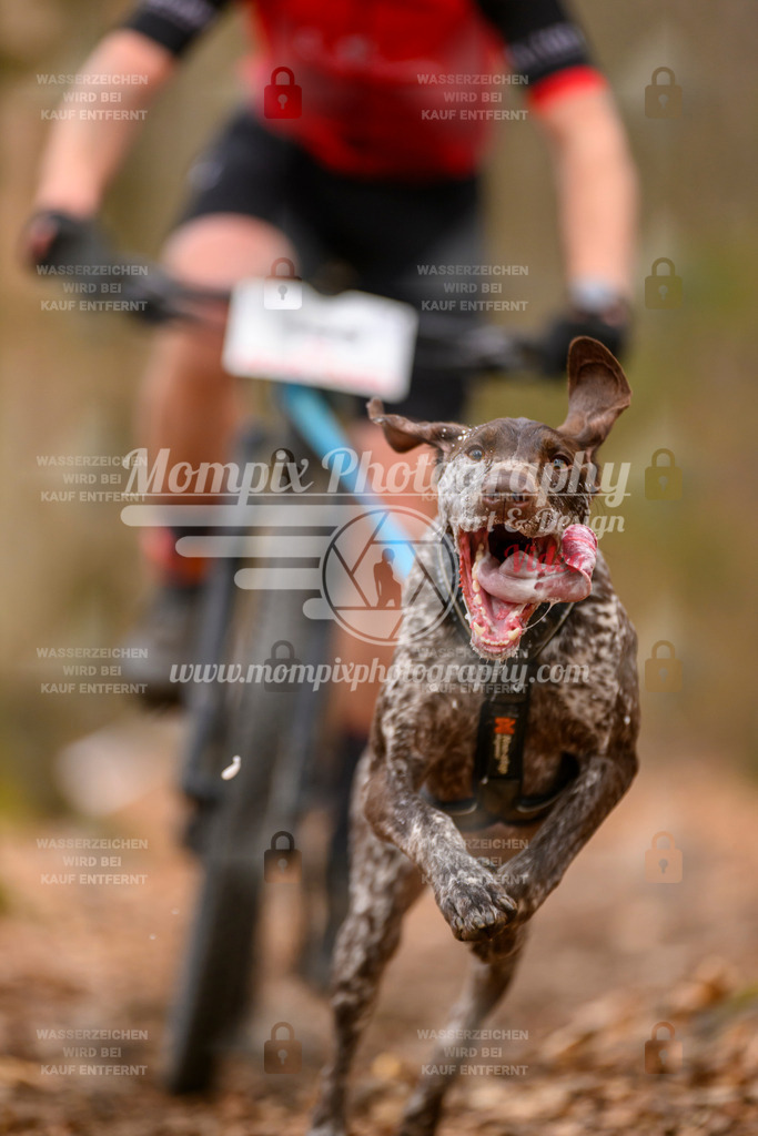 MompixPhotography_Habay2025_SA_Bike-35 | mompixphotography