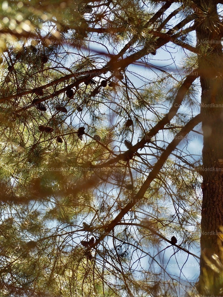 IMG_2934 | OLYMPUS DIGITAL CAMERA          - Realisiert mit Pictrs.com