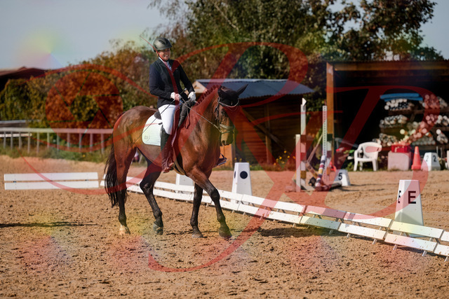 2026_10_03_Siefer-Hof_130419_Z63_66928892 | Professionelle Reitsport-, Turnier- und Eventfotografie von Robert Broda. Galerien mit ausgewählten und bearbeiteten Bildern direkt online ansehen und bestellen.