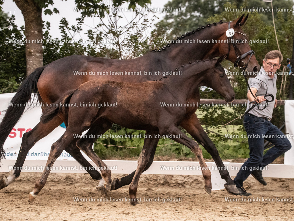 A10I6949 | photographylinaismer - Realisiert mit Pictrs.com