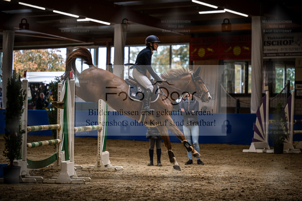 DOS_2953 | Entdecke hochwertige Reitturnierfotos von Foto Oger. Professionell, emotional und authentisch – jetzt Lieblingsmomente im Shop bestellen. - Realisiert mit Pictrs.com