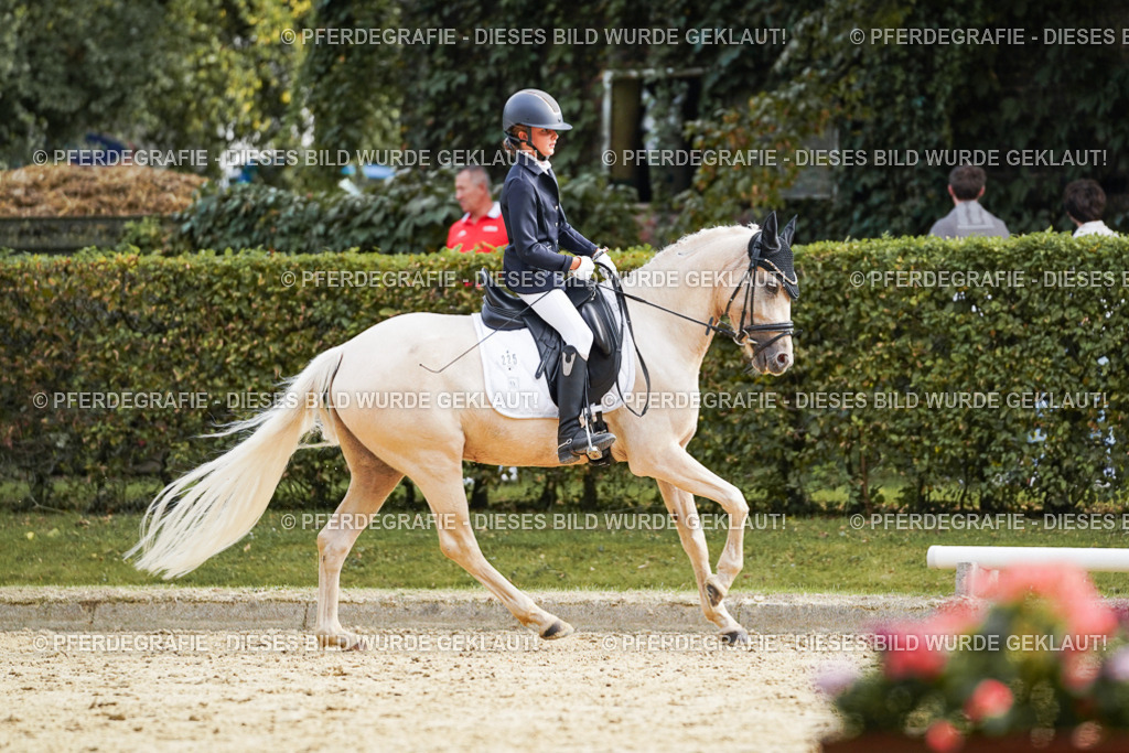 DSC04948 | Pferdegrafie