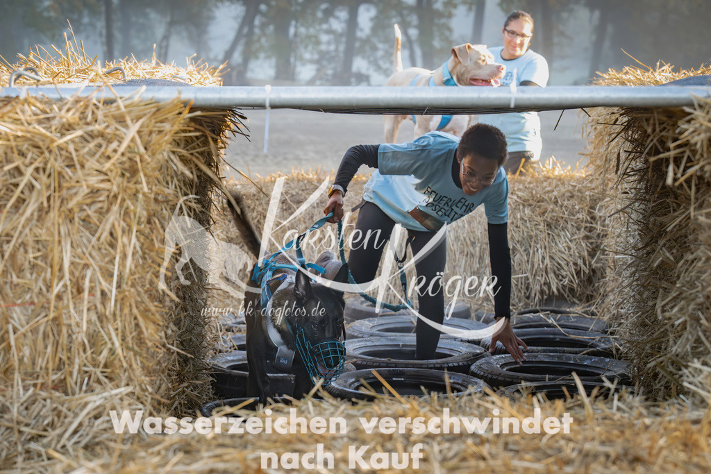 0854_ZZ99670-Verbessert-RR | kk-dogfotos