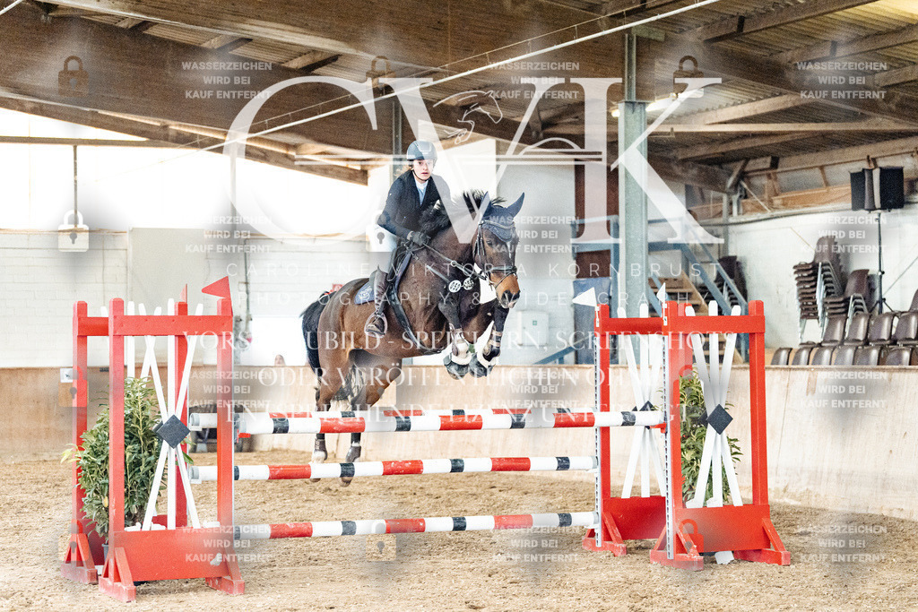 CK906235 | Turnierfotografie Pferdefotografie Trier Rheinland-Pfalz Pferdesport Reitsport Tierfotografie Sportfotografie Pferdevideo Pferdevideografie Equestrianvideography equestrianphotography  - Realized with Pictrs.com