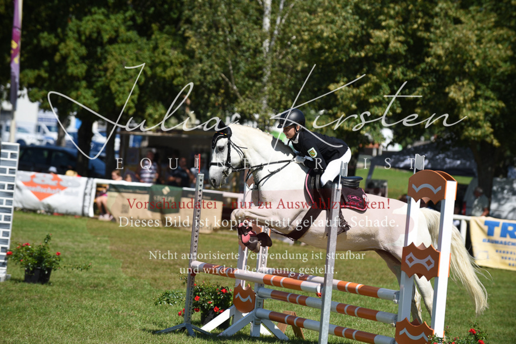DSC_9485 | Pferde- und Turnierfotografie in Westsachsen. Pferdeportraits, Auftragszeichnungen und intuitive Kunst.