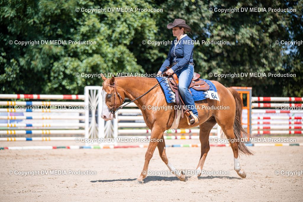 ZS1_1184 | dv-media-shop - Realisiert mit Pictrs.com