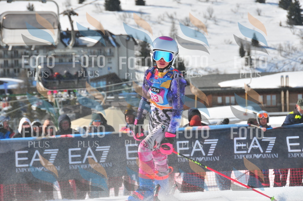 DSC_4225 | holidayphoto