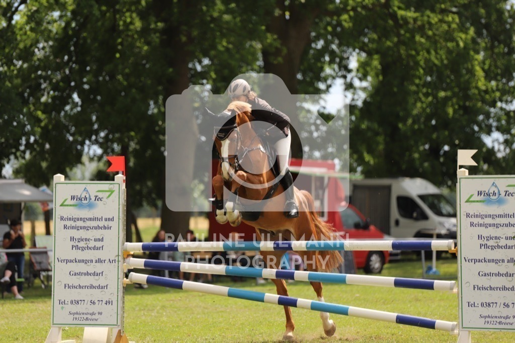 IMG_7733 | Pauline Ullmann Photography - Realisiert mit Pictrs.com