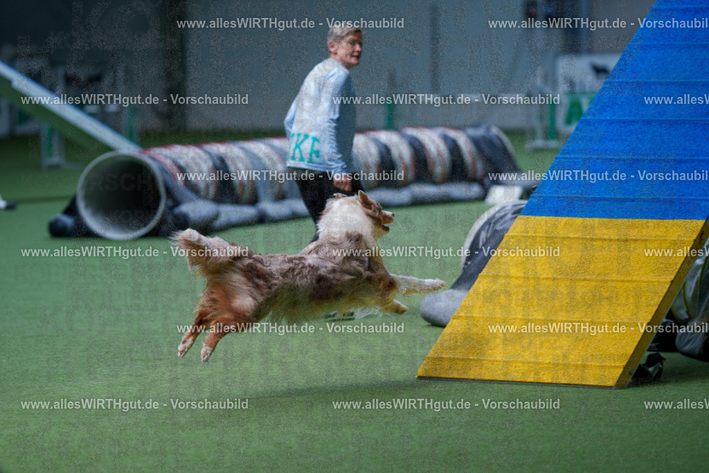 @allesWIRTHgut_Tierfotografie - www.allesWIRTHgut.de - 2604251218-7R501317 | Professionelle Tierfotografie in Mönchengladbach von Daniel Wirth (allesWIRTHgut). Liebevolle & natürliche Bilder von Hunden & Katzen für unvergessliche Erinnerungen.