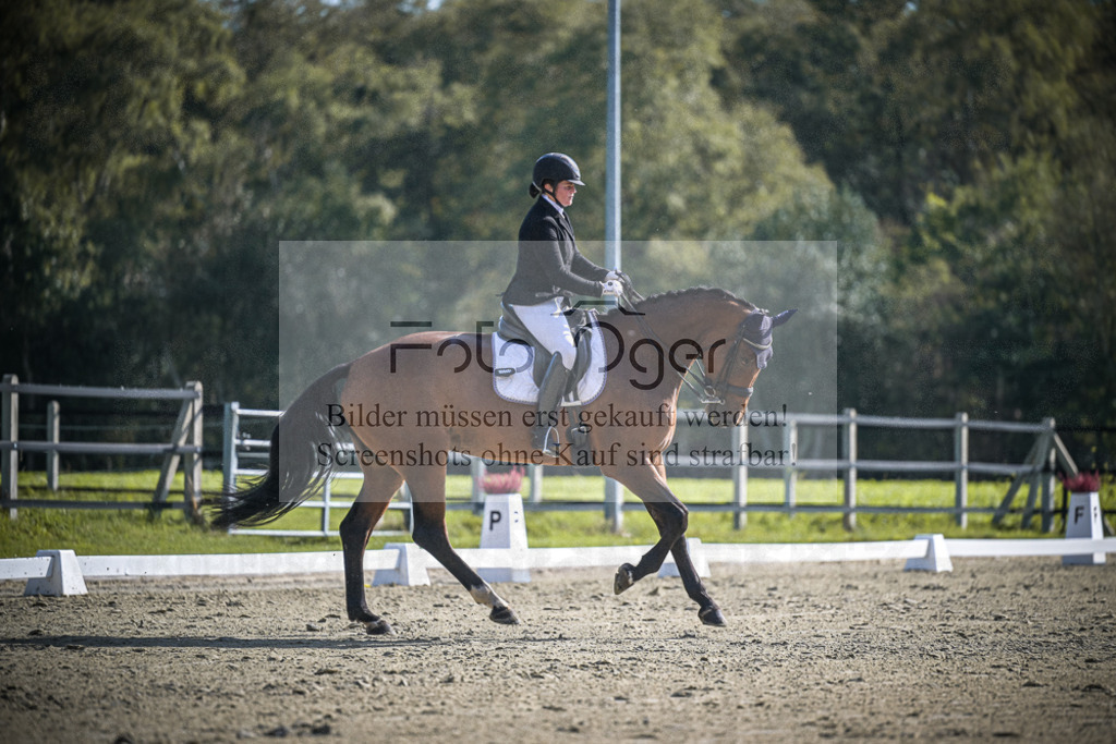 DOS_1439 | Entdecke hochwertige Reitturnierfotos von Foto Oger. Professionell, emotional und authentisch – jetzt Lieblingsmomente im Shop bestellen.Deutschlandweite Turnierfotografie. - Realisiert mit Pictrs.com