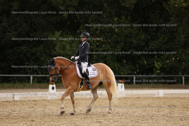 HG9A0777 | laurarinckfotografie - Realisiert mit Pictrs.com