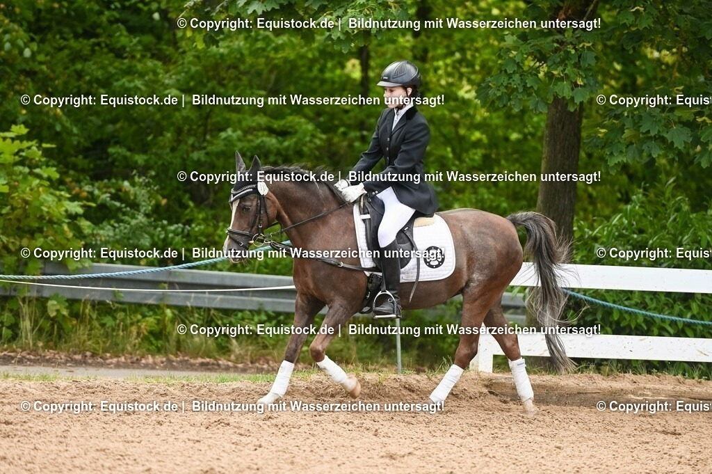 20230716_10-2_Reiter-WB Schritt - Trab - Galopp_0086 | equistock