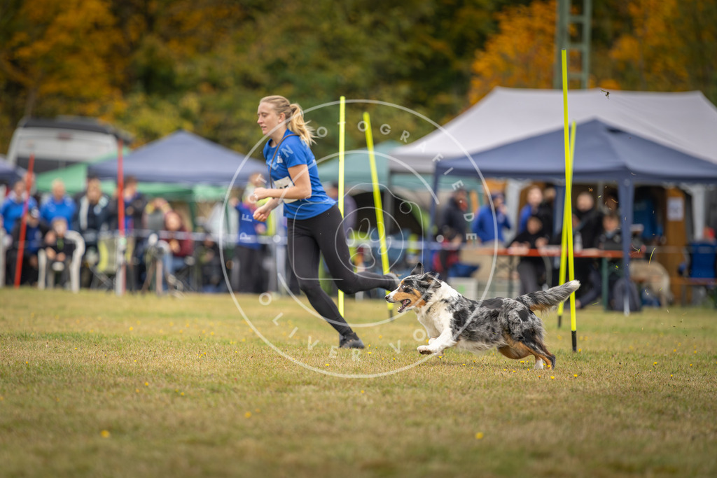 Pfotenfotografie_DV3A4016 | Hundefotografie, Tierfotograf, Pfotenfotografie, Fotoshooting Hund, Hunde Portrait, Hundesport, Hundeportraits, Heideshooting, Hunde, Sportfotograf, Hundefotograf, Turnierhundsport, THS,  - Realisiert mit Pictrs.com