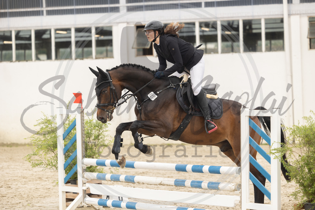 994A9235 | sabrinanicolaifotografie - Realisiert mit Pictrs.com