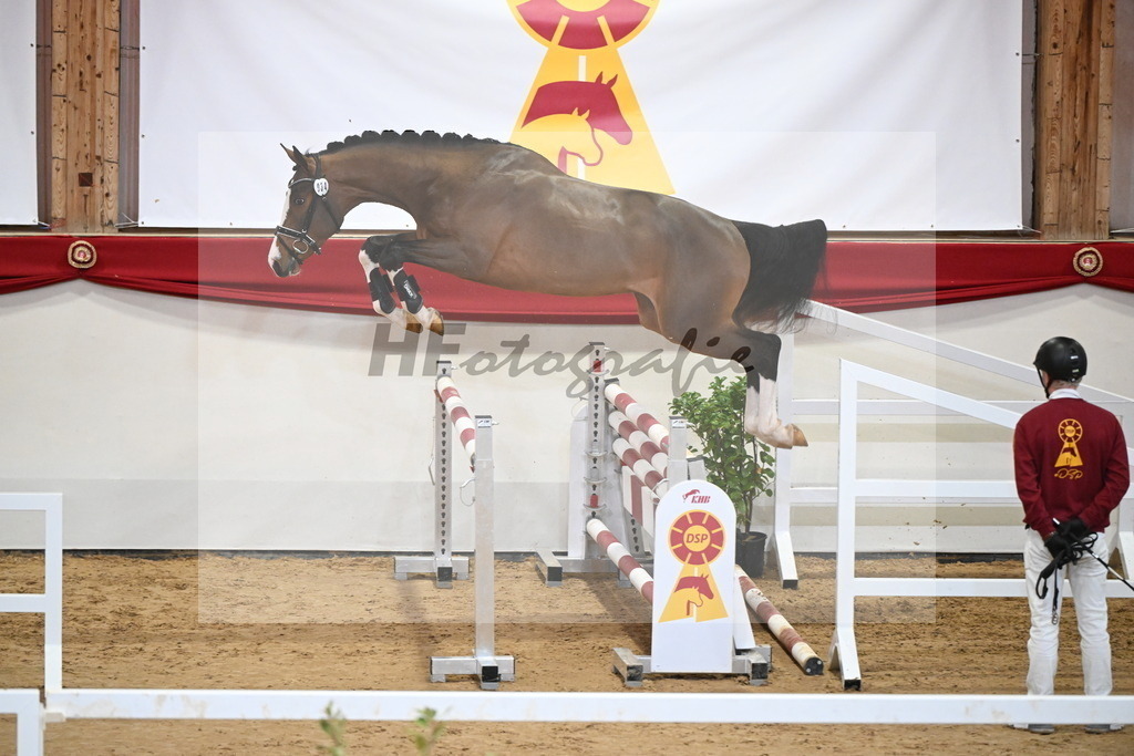 Kat.-Nr. 34 v. Oganero P_Masur_2251232 | hf-fotografie - Realisiert mit Pictrs.com