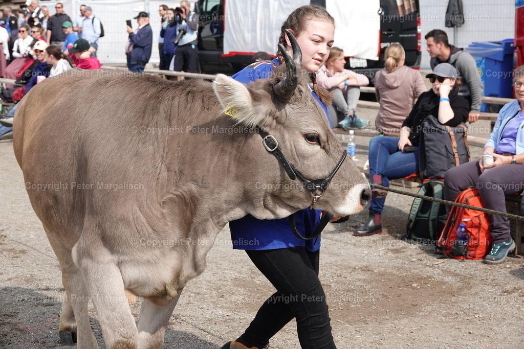DSC03634 | Schwingen - Realisiert mit Pictrs.com