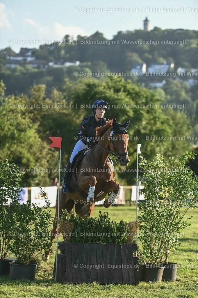 20230909_20_Leonberger-Derby_0100 | Foto: Thomas Hartig