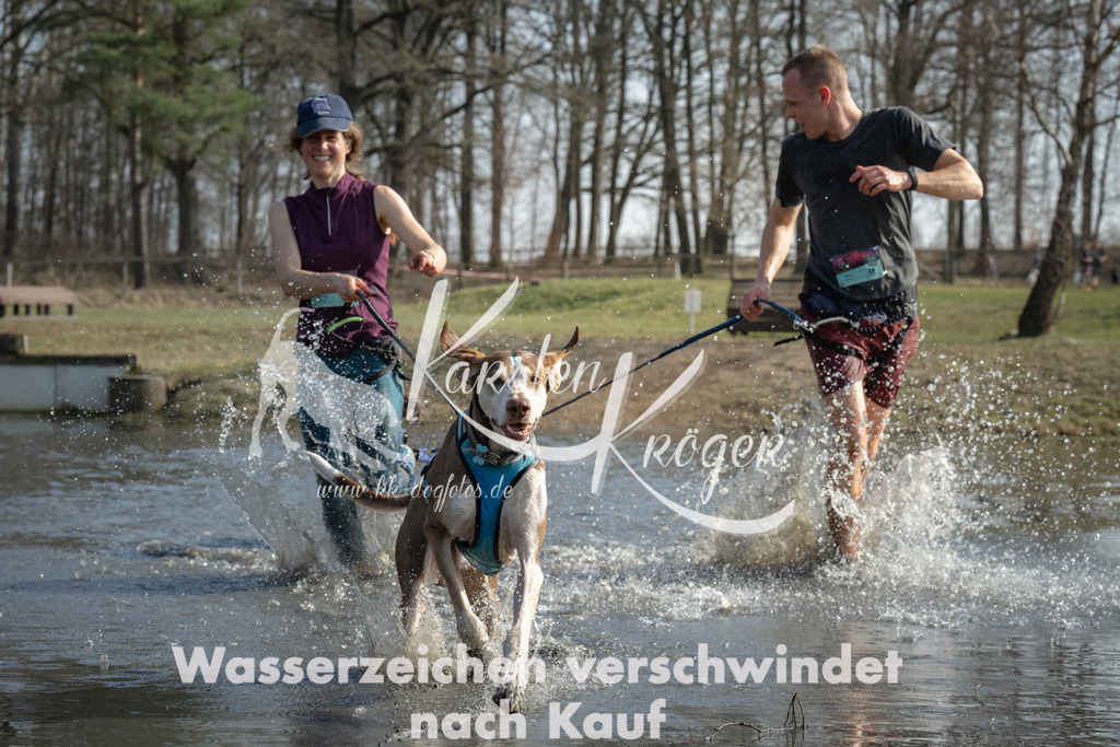1334_ZZ97275 | kk-dogfotos