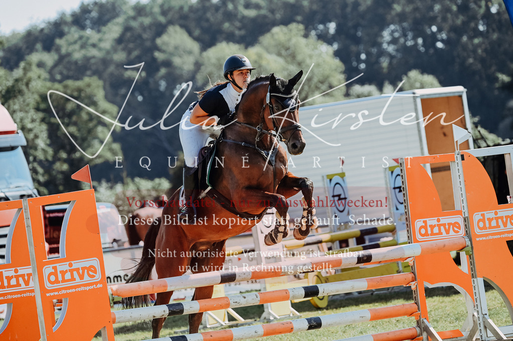 DSC_5709 | Pferde- und Turnierfotografie in Westsachsen. Pferdeportraits, Auftragszeichnungen und intuitive Kunst.