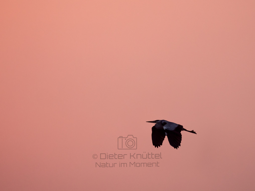 Sunset-Bornholm-Denmark-4 | Natur im Moment - Realisiert mit Pictrs.com