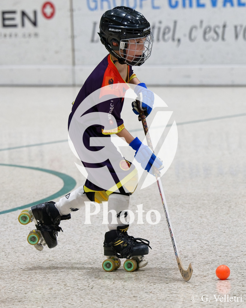 DSC_2089 | Velletri Photo