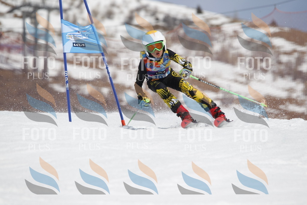 _U3G1982 | holidayphoto