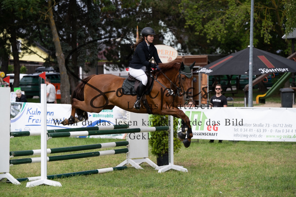 A7V05307 | Pferdefotograf