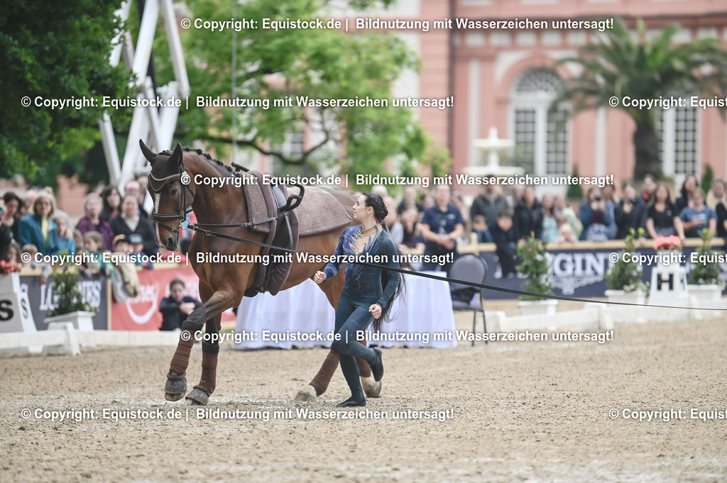 20240519_Voltige_0131 | Foto: Thomas Hartig