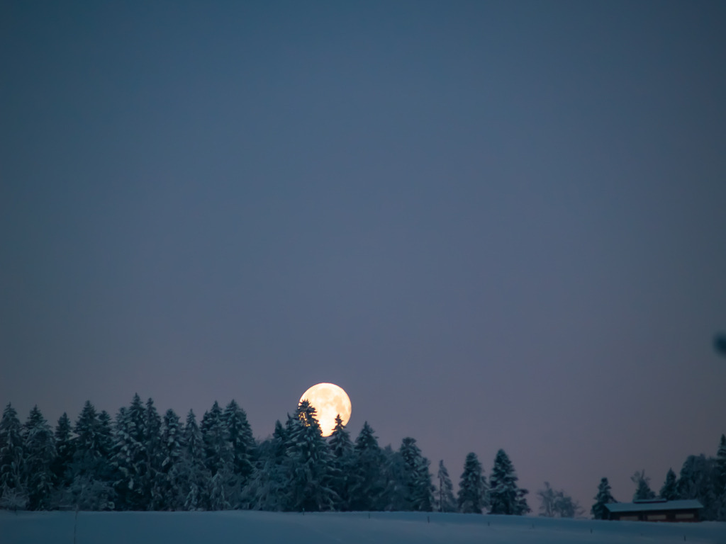 PSX_20230207_233005 | OLYMPUS DIGITAL CAMERA - Realisiert mit Pictrs.com