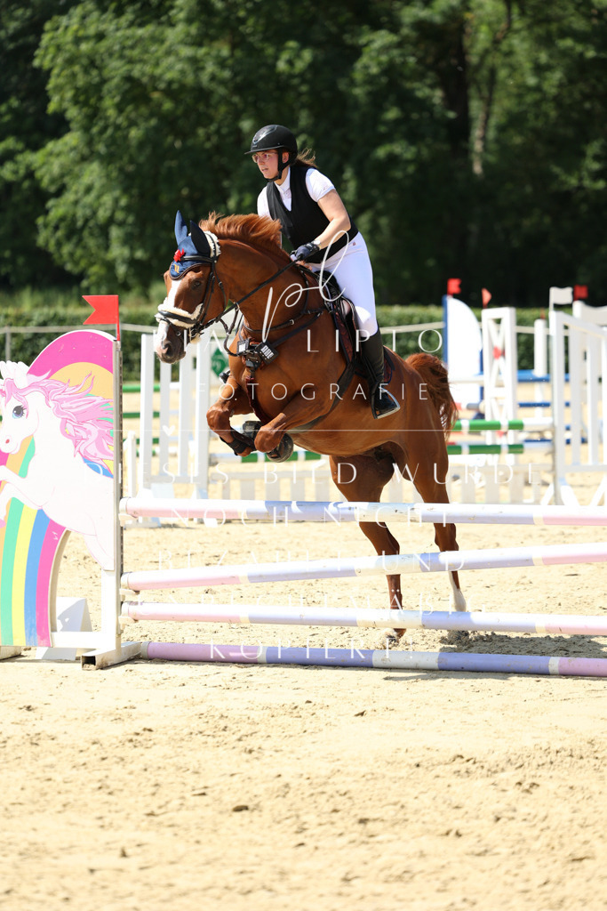 IMGM4581 | pl-fotografie