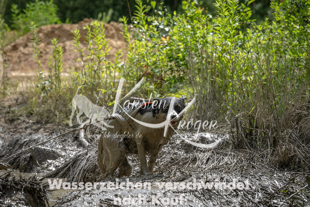 1436_ZZ93170 | kk-dogfotos