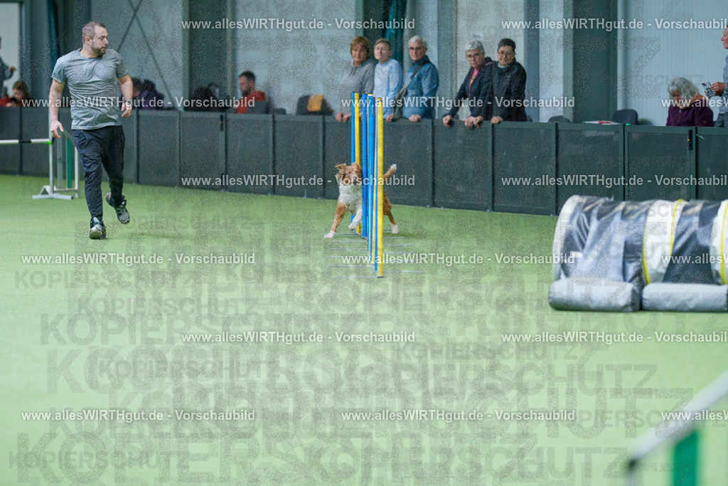 @allesWIRTHgut_Tierfotografie - www.allesWIRTHgut.de - 2604251058-7R500711 | Professionelle Tierfotografie in Mönchengladbach von Daniel Wirth (allesWIRTHgut). Liebevolle & natürliche Bilder von Hunden & Katzen für unvergessliche Erinnerungen.