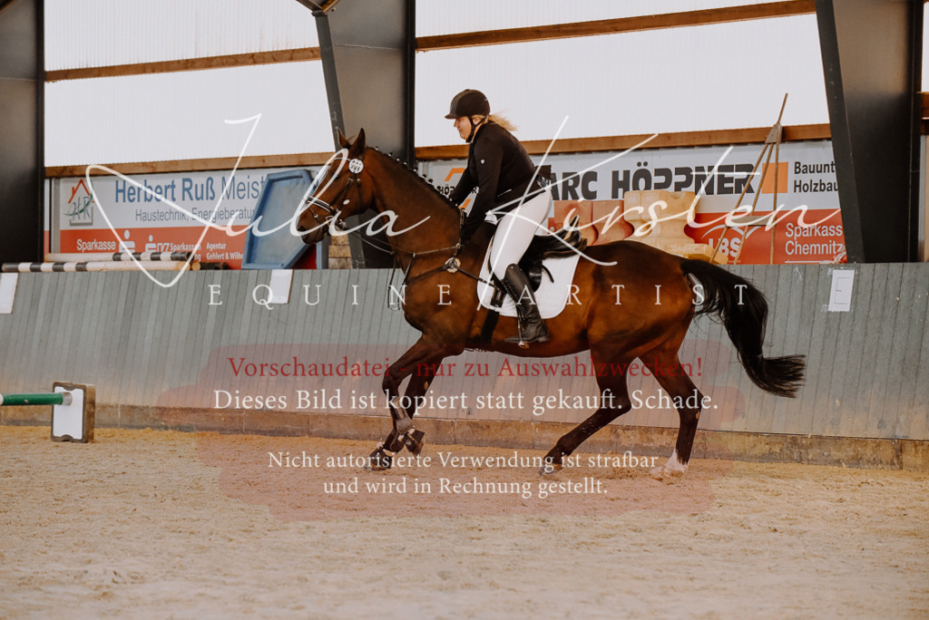 DSC_7474 | Pferde- und Turnierfotografie in Westsachsen. Pferdeportraits, Auftragszeichnungen und intuitive Kunst.