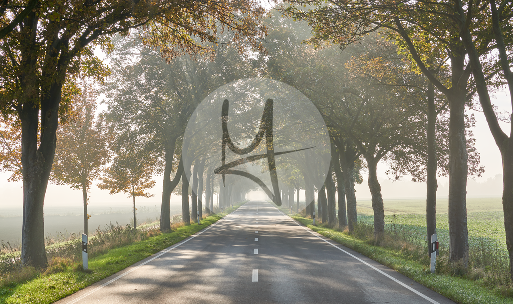 Landschaft im Morgennebel - Nördliches Harzvorland - #nHavo | Meurer Shop - Realisiert mit Pictrs.com